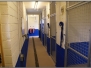 Boarding kennels Gallery 